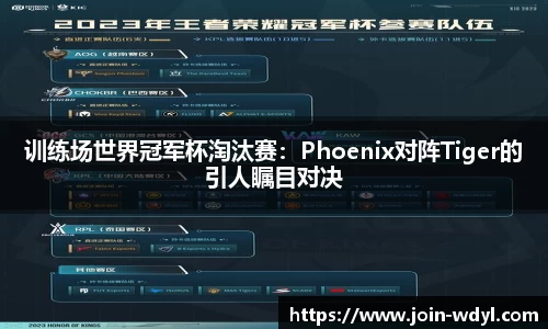 训练场世界冠军杯淘汰赛：Phoenix对阵Tiger的引人瞩目对决